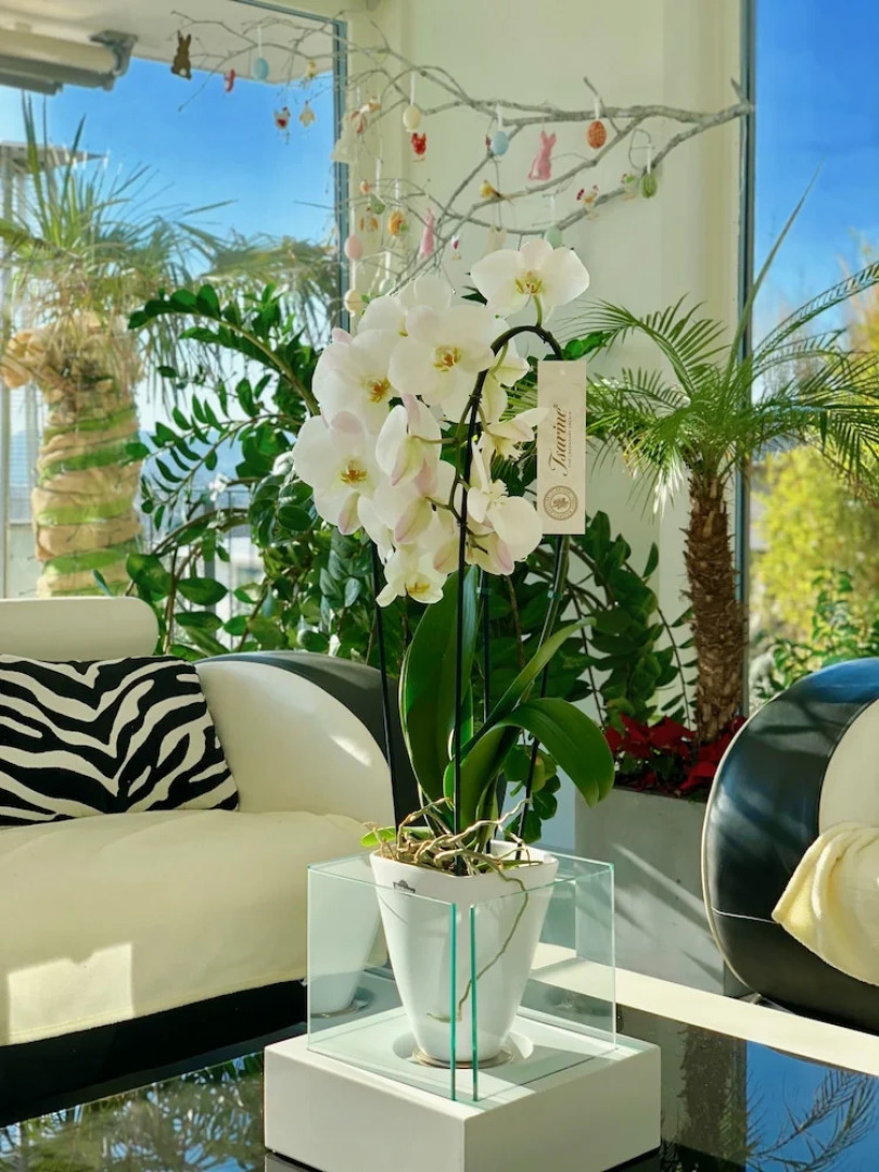 perfect lifestyle Design Boutique & Private SPA