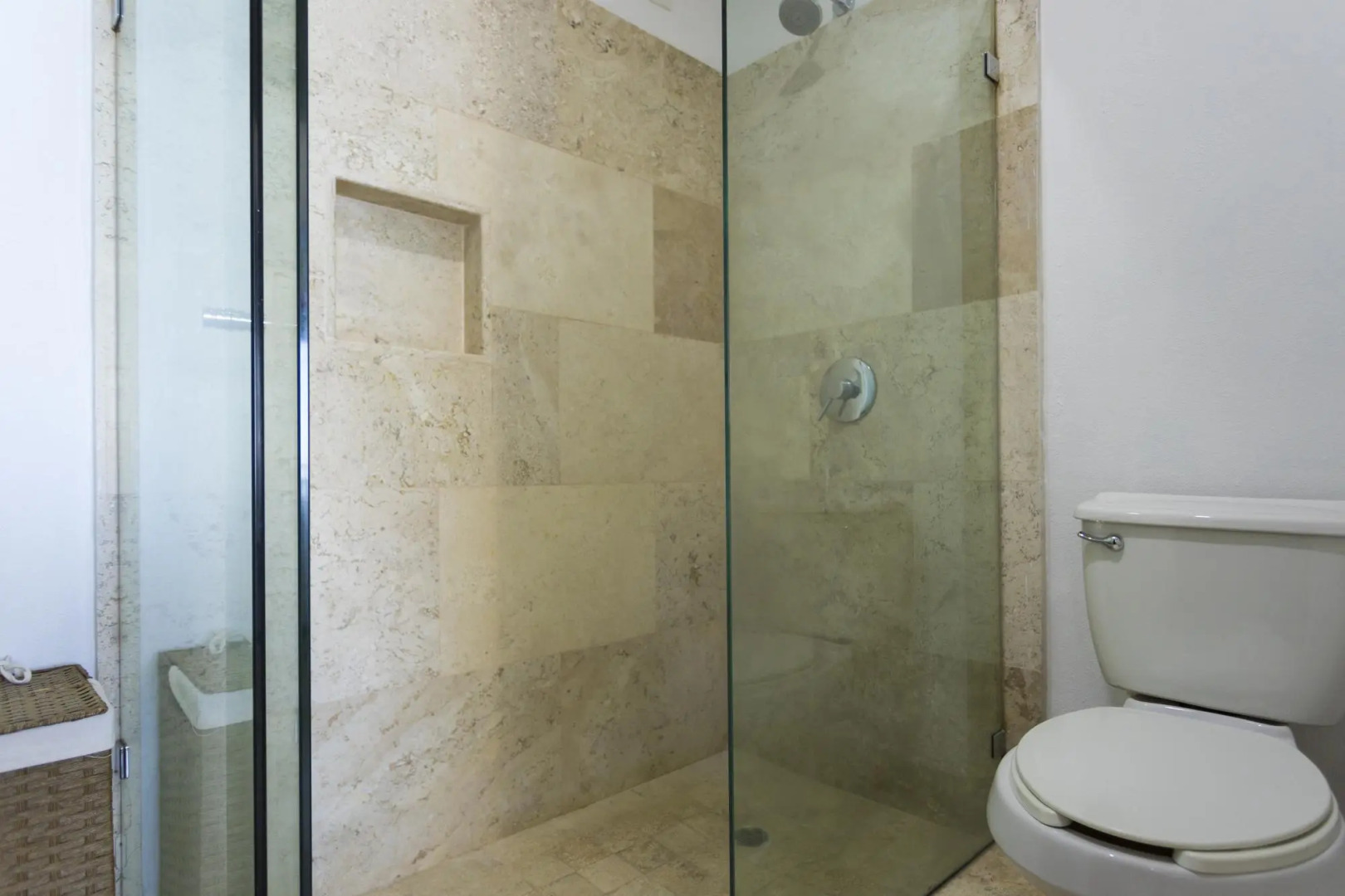 Flamingos Conchas 502