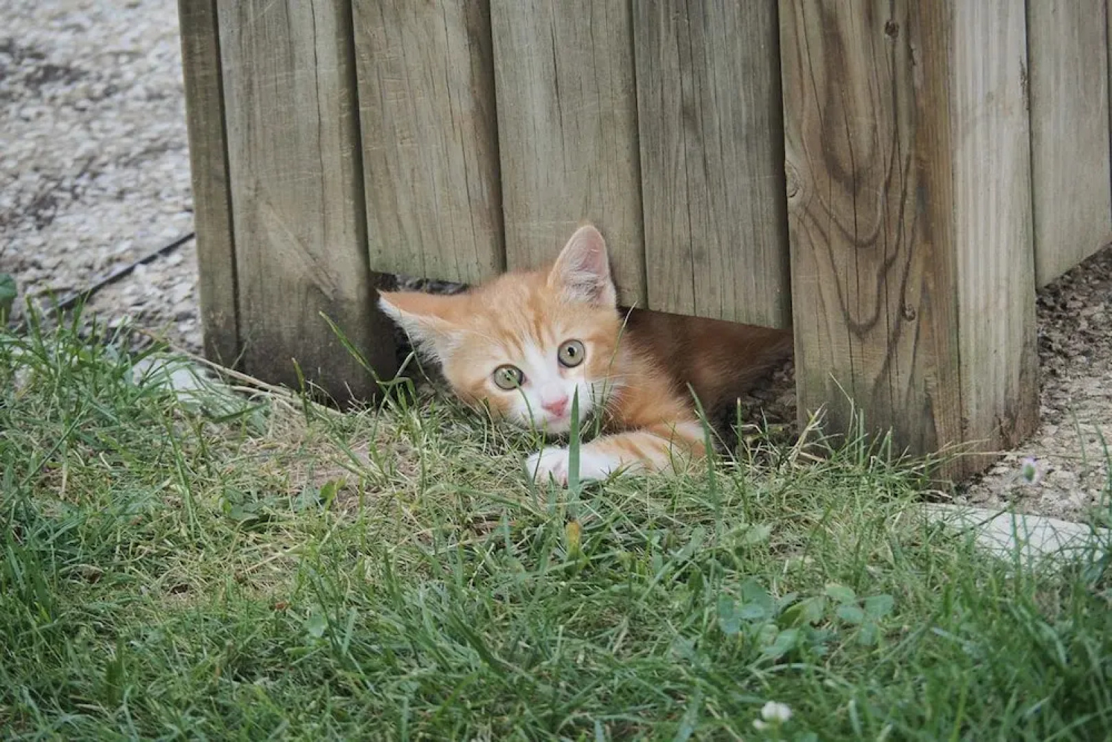 Camping La Ferme de Perdigat