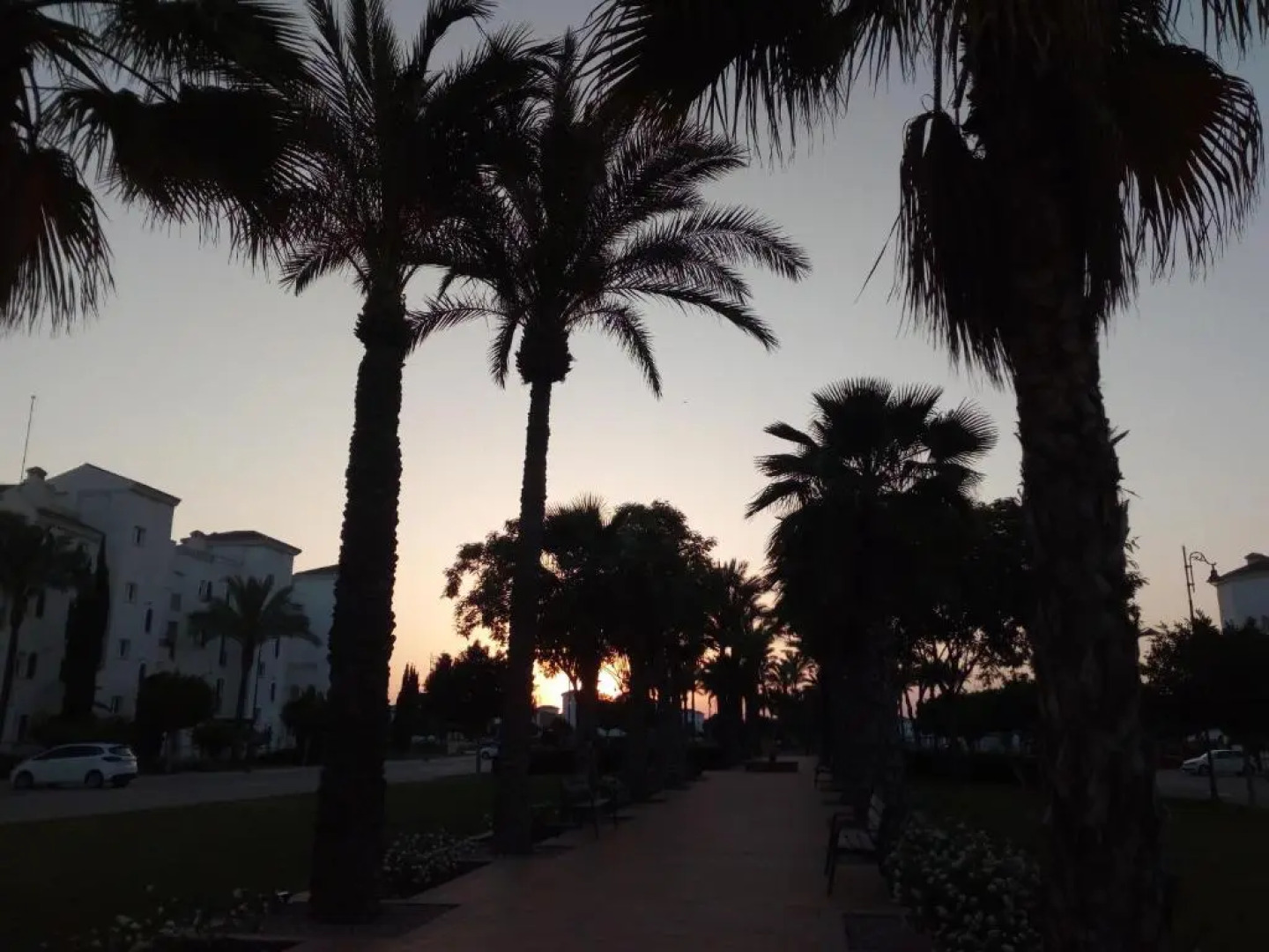 Coming Home - Penthouses La Torre Golf Resort