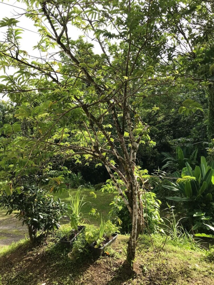 Apartment Chemin Matillon