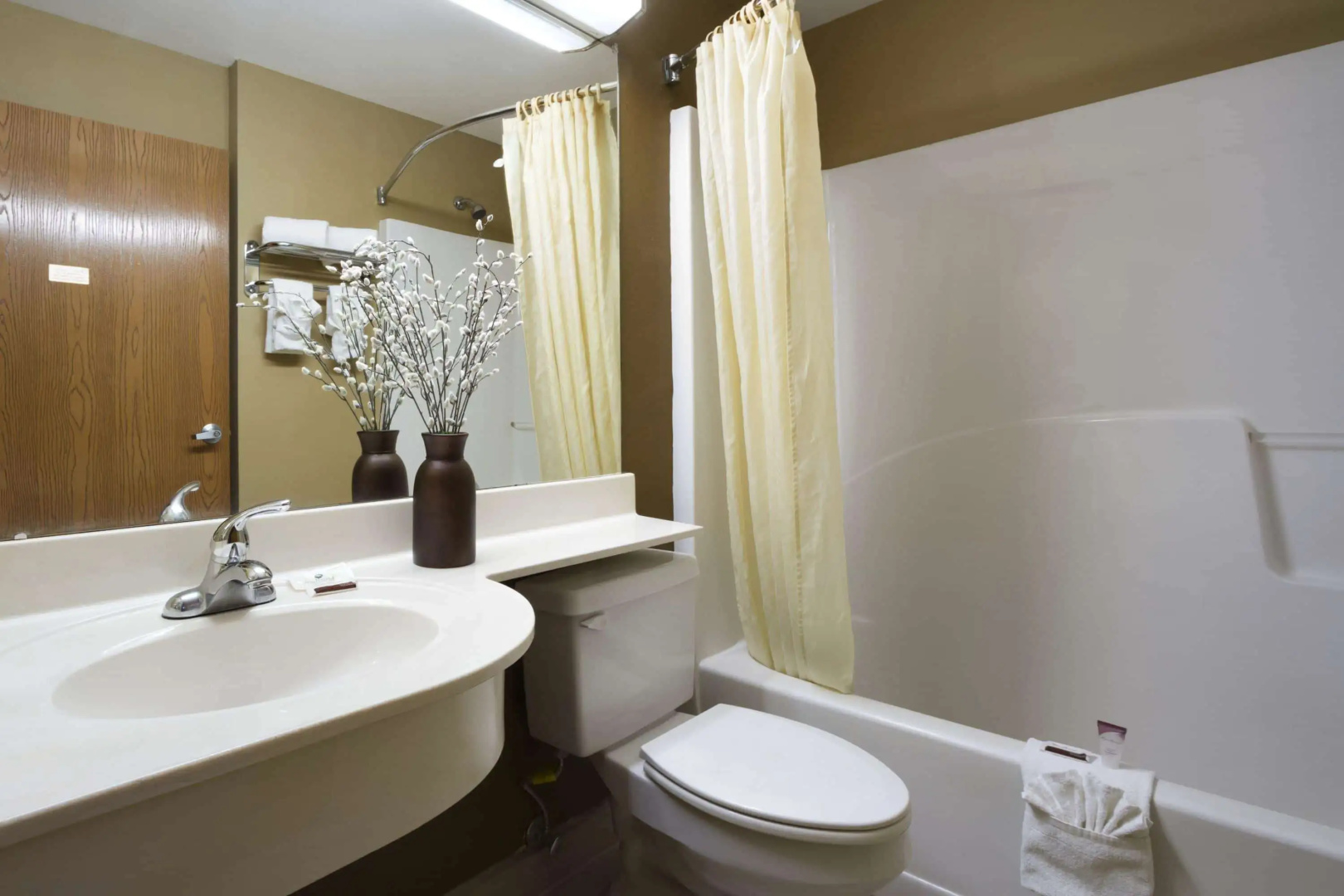 Microtel Inn & Suites by Wyndham Lithonia/Stone Mountain