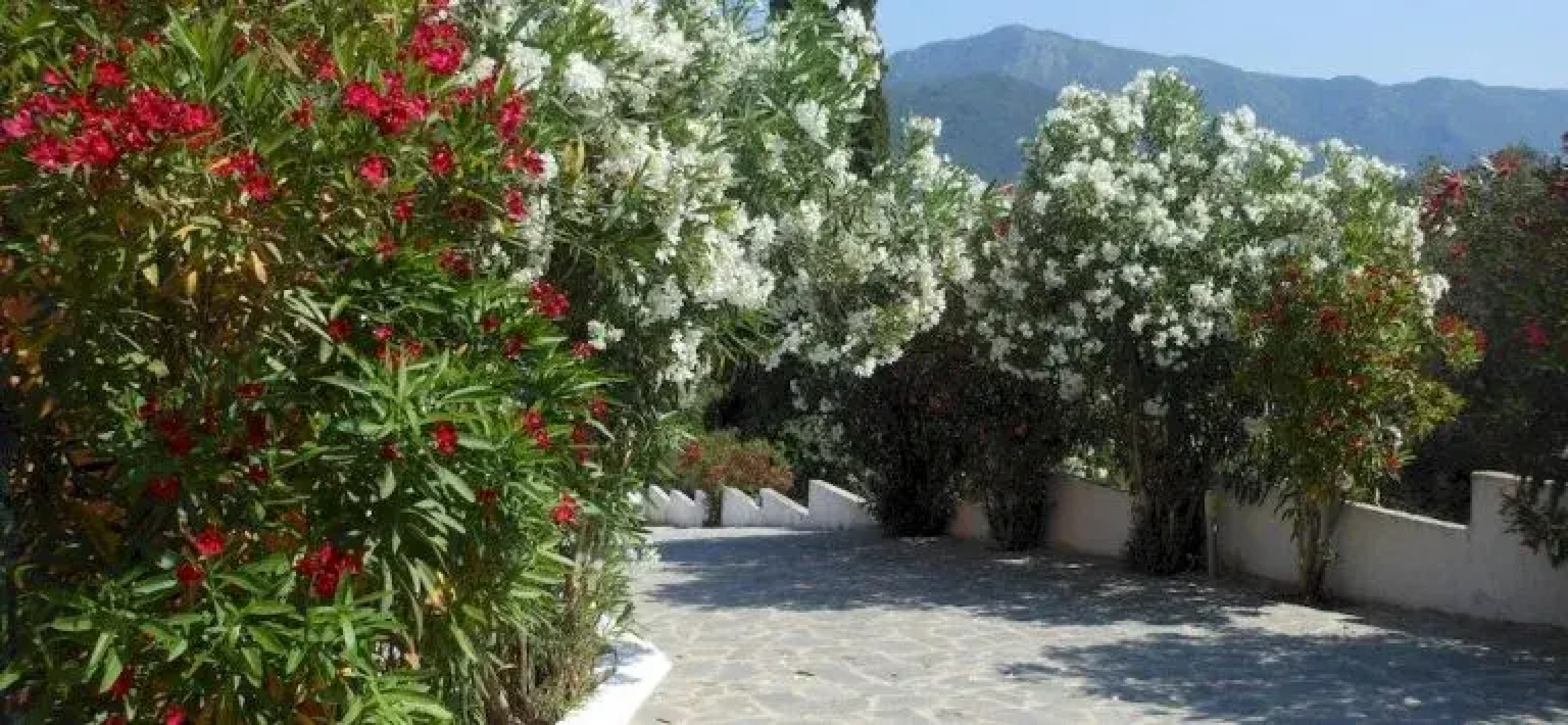 Ziogas Luxury Apartments