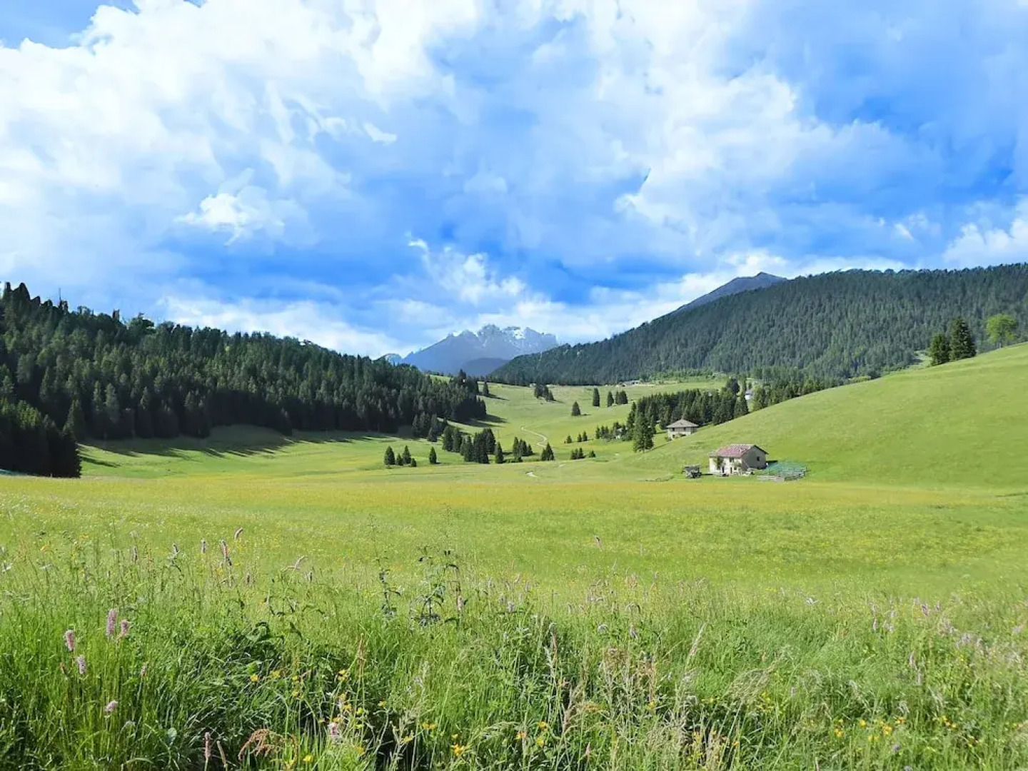 Apartment With Garden, Del Corlo Lake, Belluno