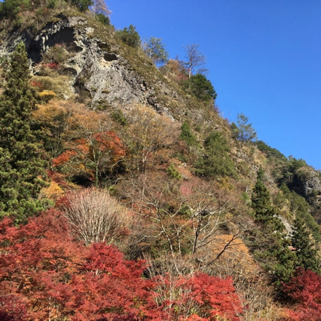 Kokumin Shukusha Furuiwayaso