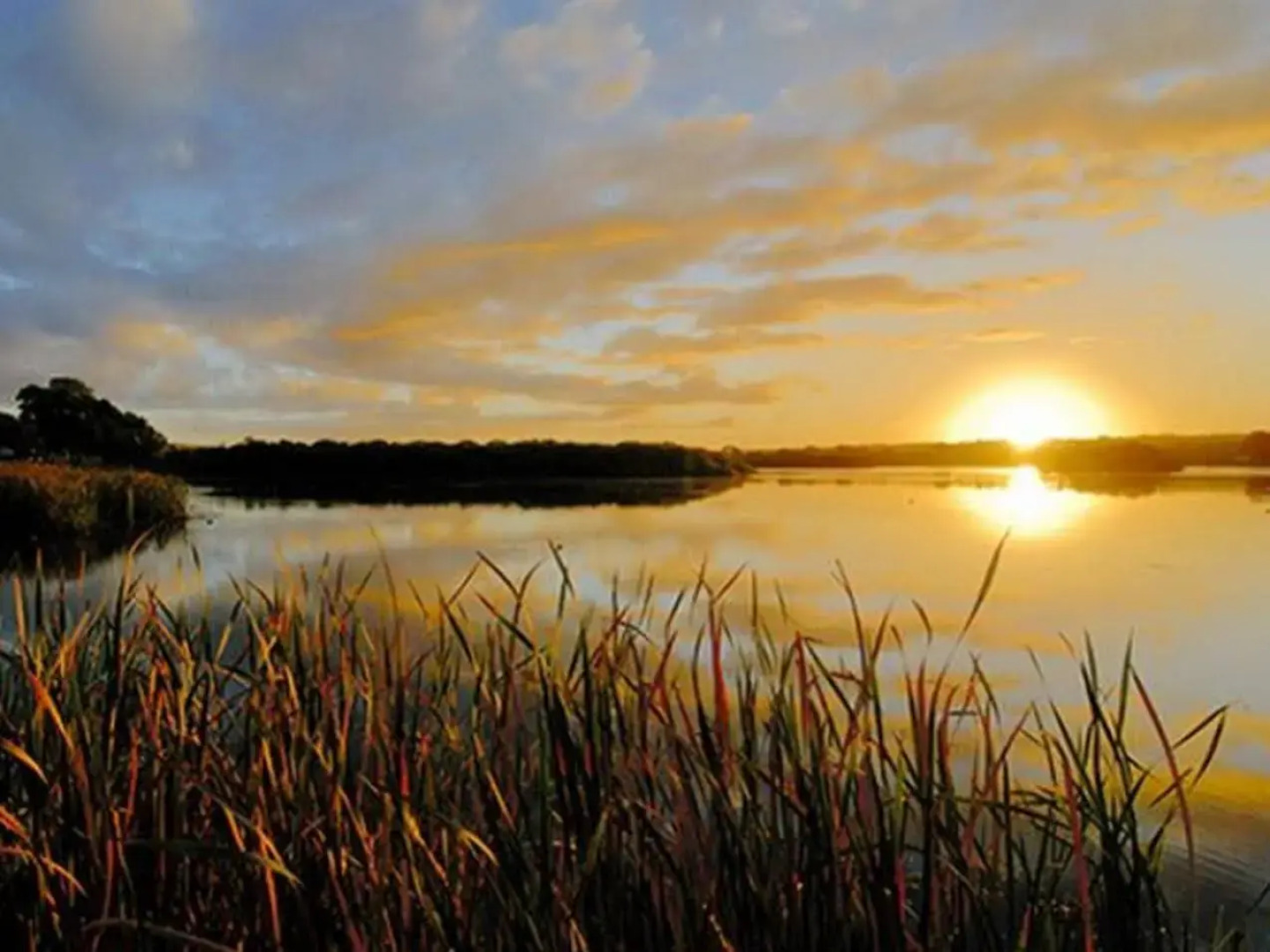 Riverview Rise Retreats