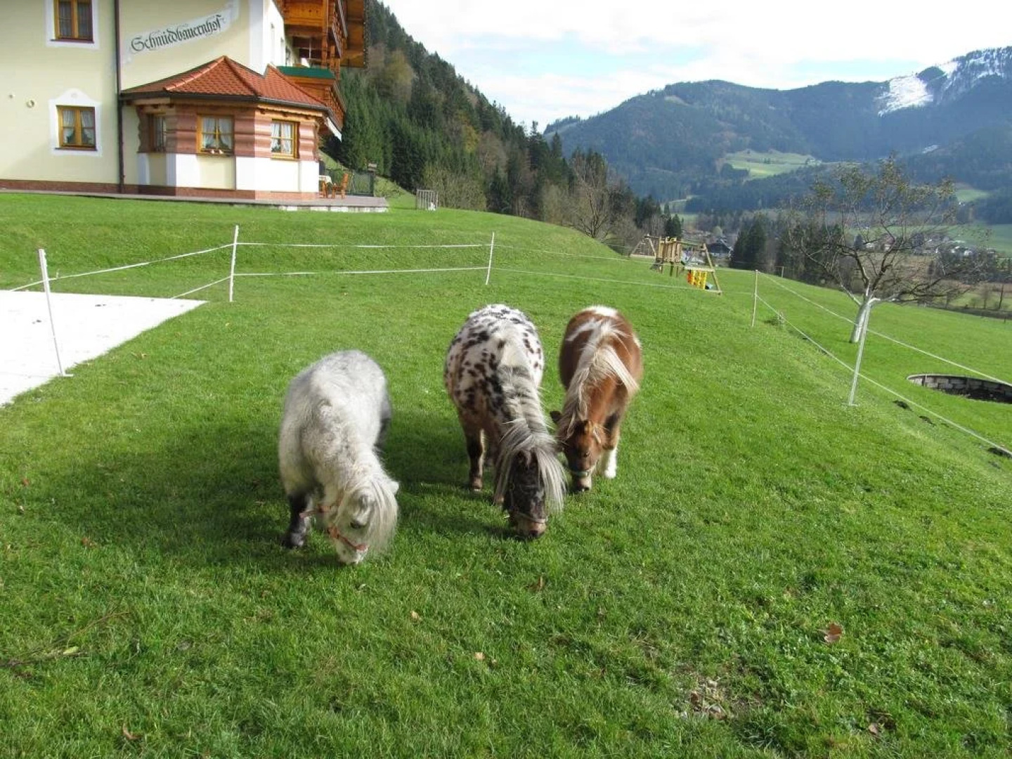 Appartement Schmiedbauernhof