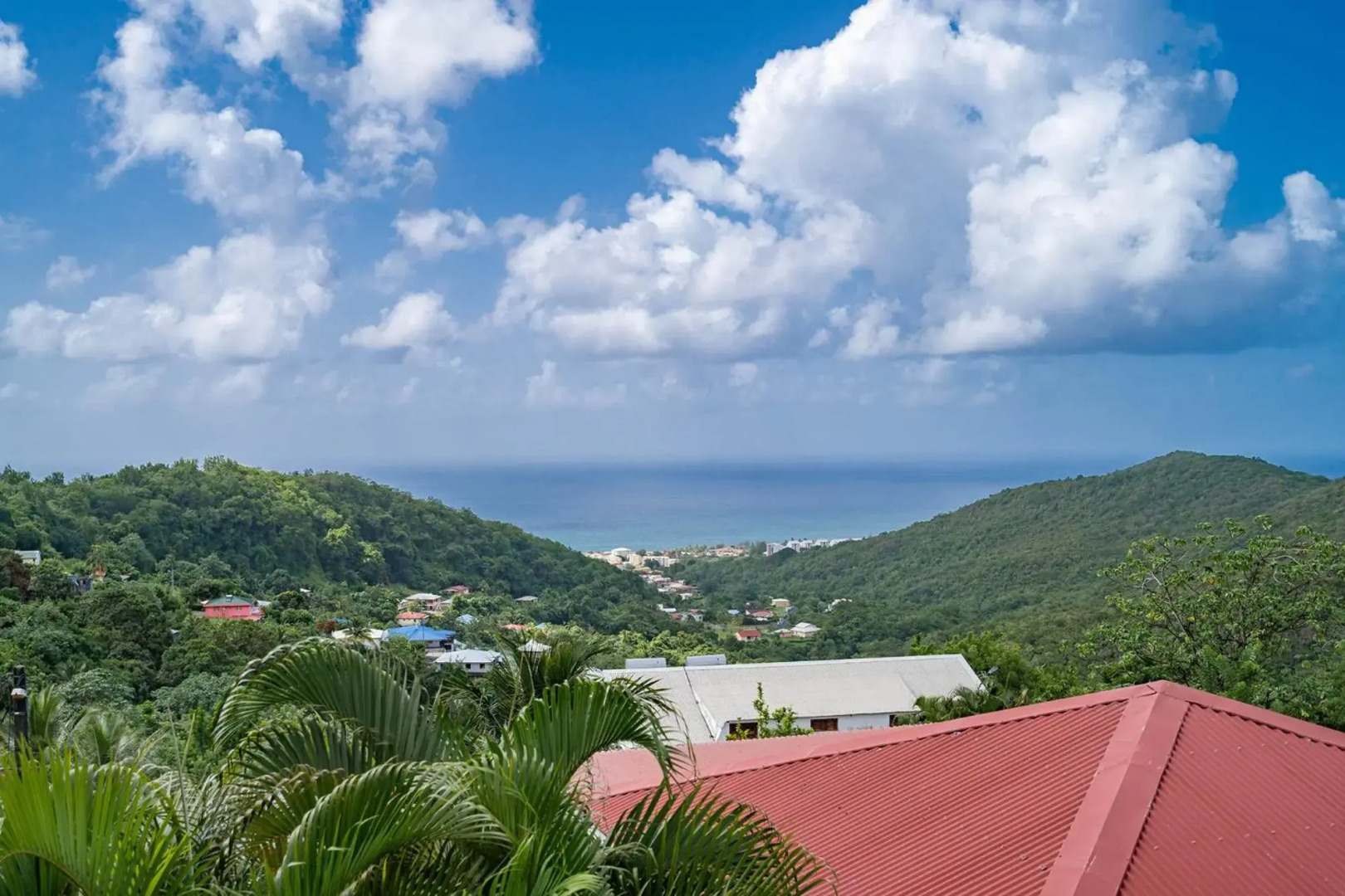 Villa Palmier rouge : 3 ch, piscine à débordement, vue mer et végétation