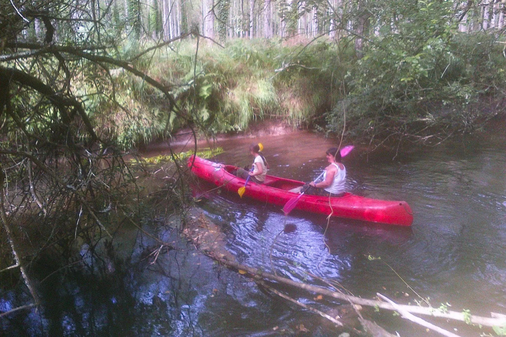 Holiday Home Near Rosa Granite Coast Beaches