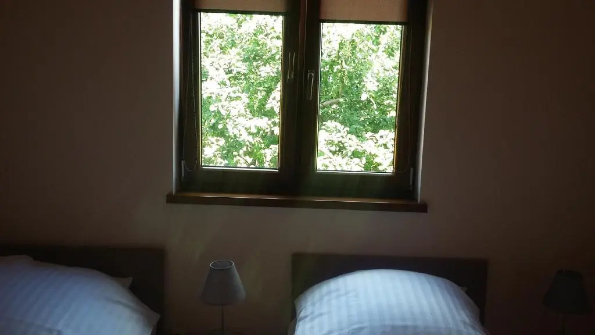 Domki letniskowe PLUSK