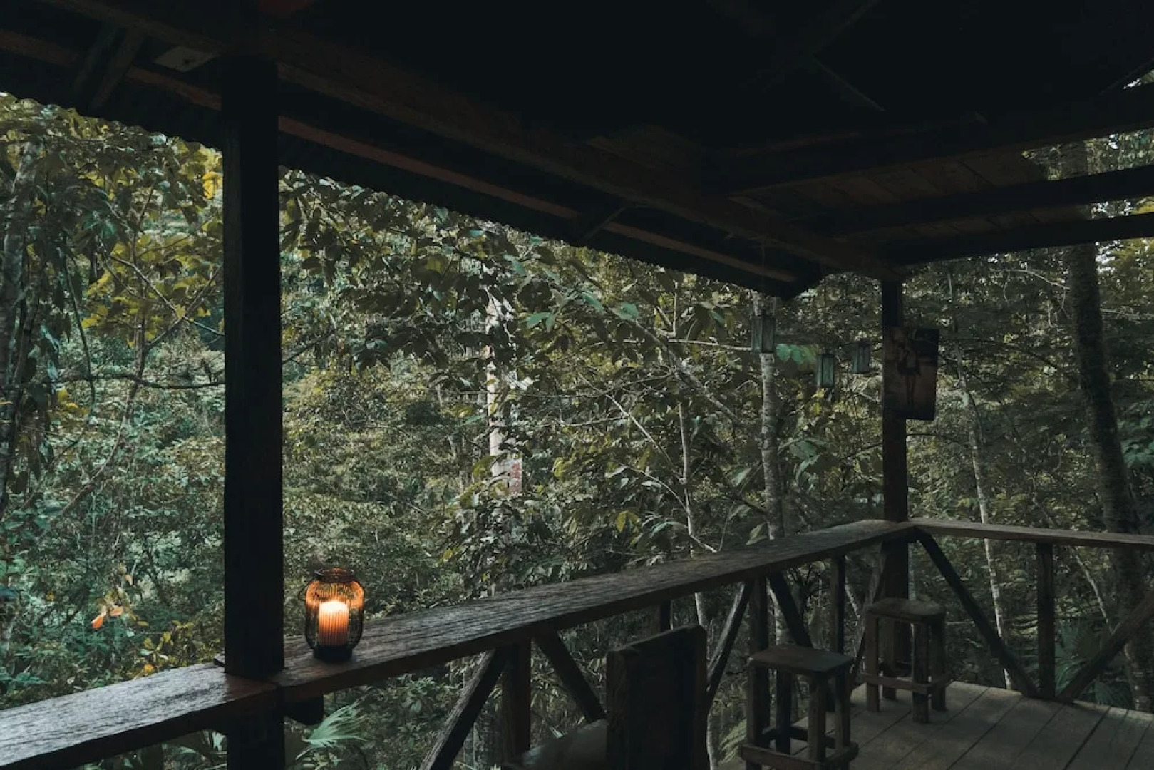 Tigrillo Rio Claroby LosColoresEcoparque