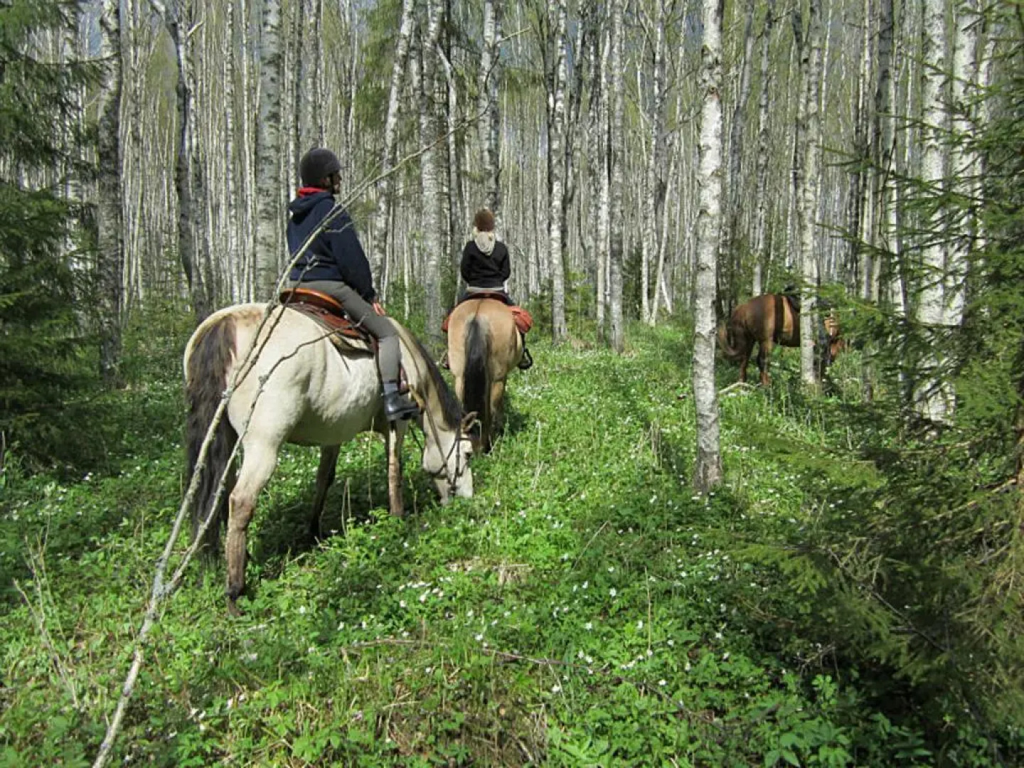 Älvkarleby Turist & Konferenshotell
