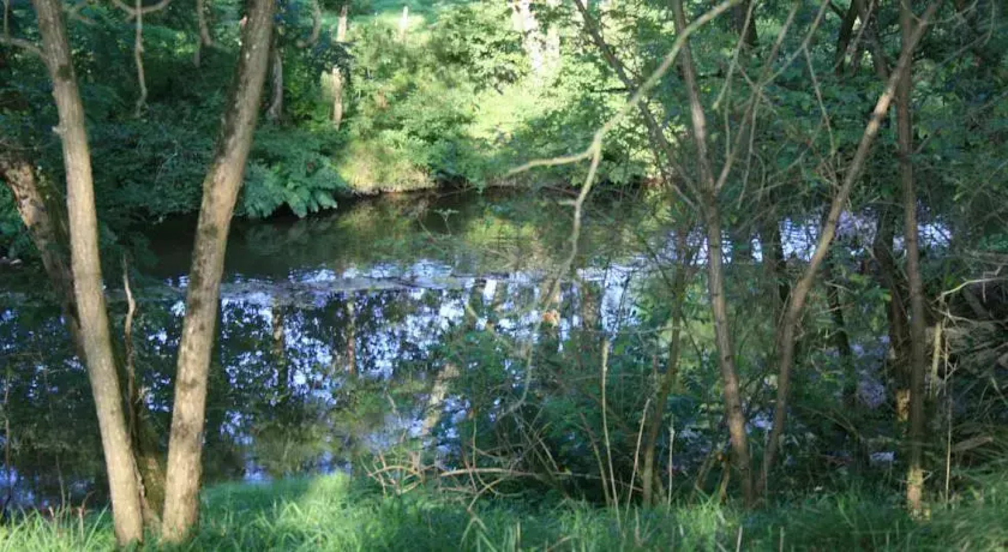 Le Moulin du Cluzeau