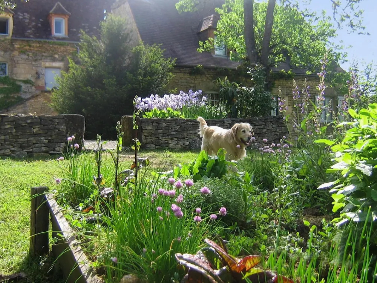 House With 2 Bedrooms in Saint Amand de Coly, With Pool Access, Furnis