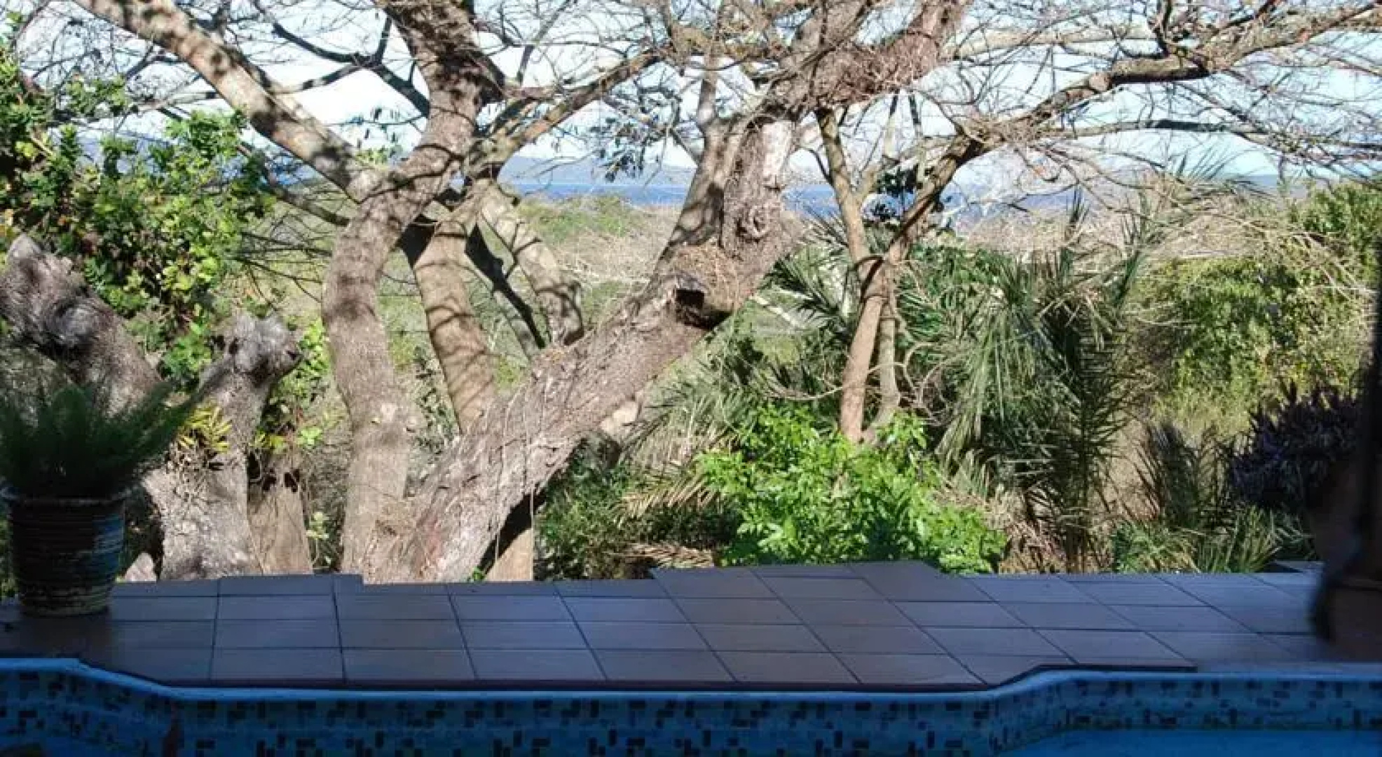 Kosi Moon Bed and Breakfast
