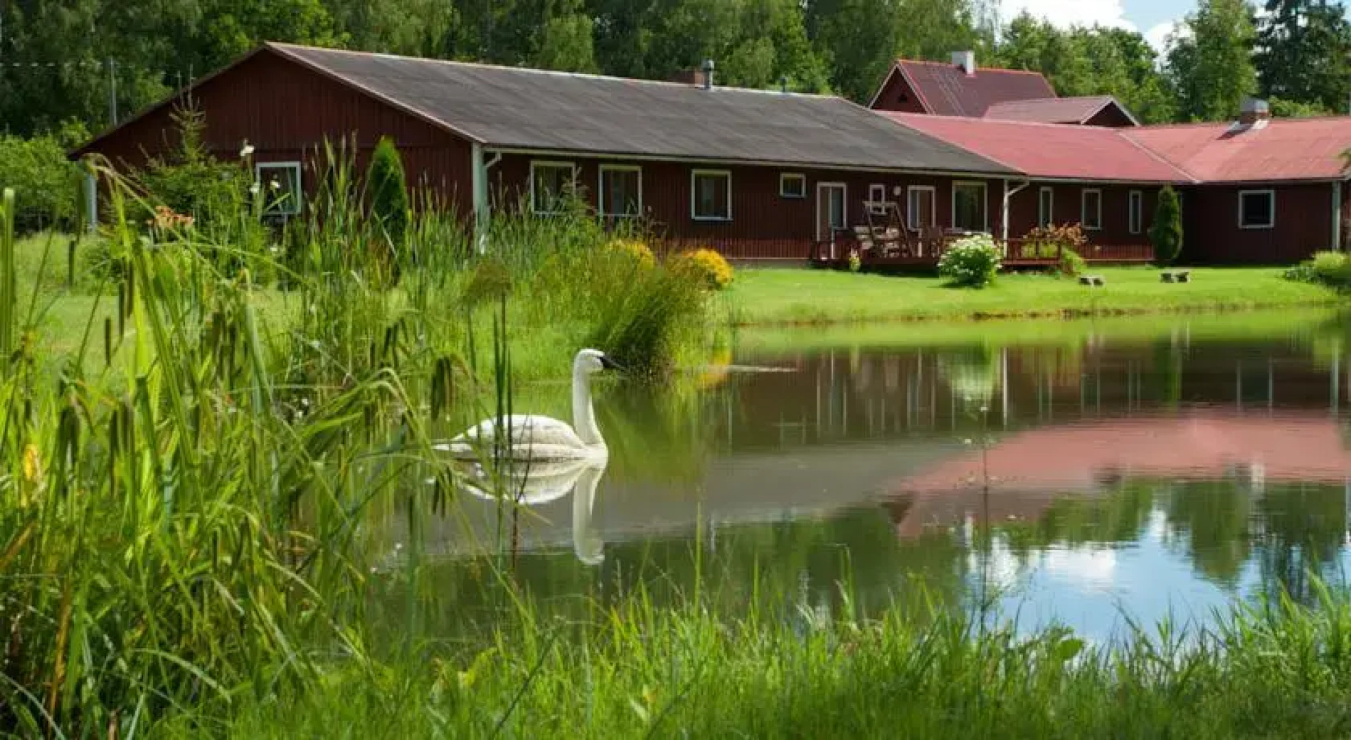 Guesthouse Linnamehe