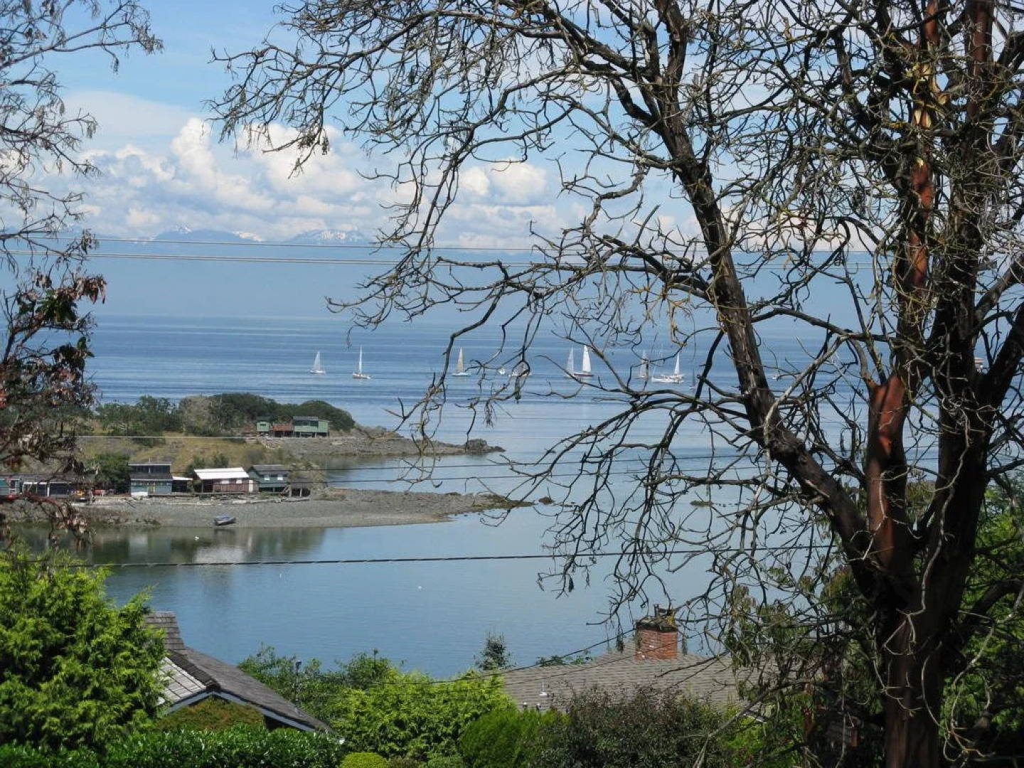 A Boutique Artful Suite