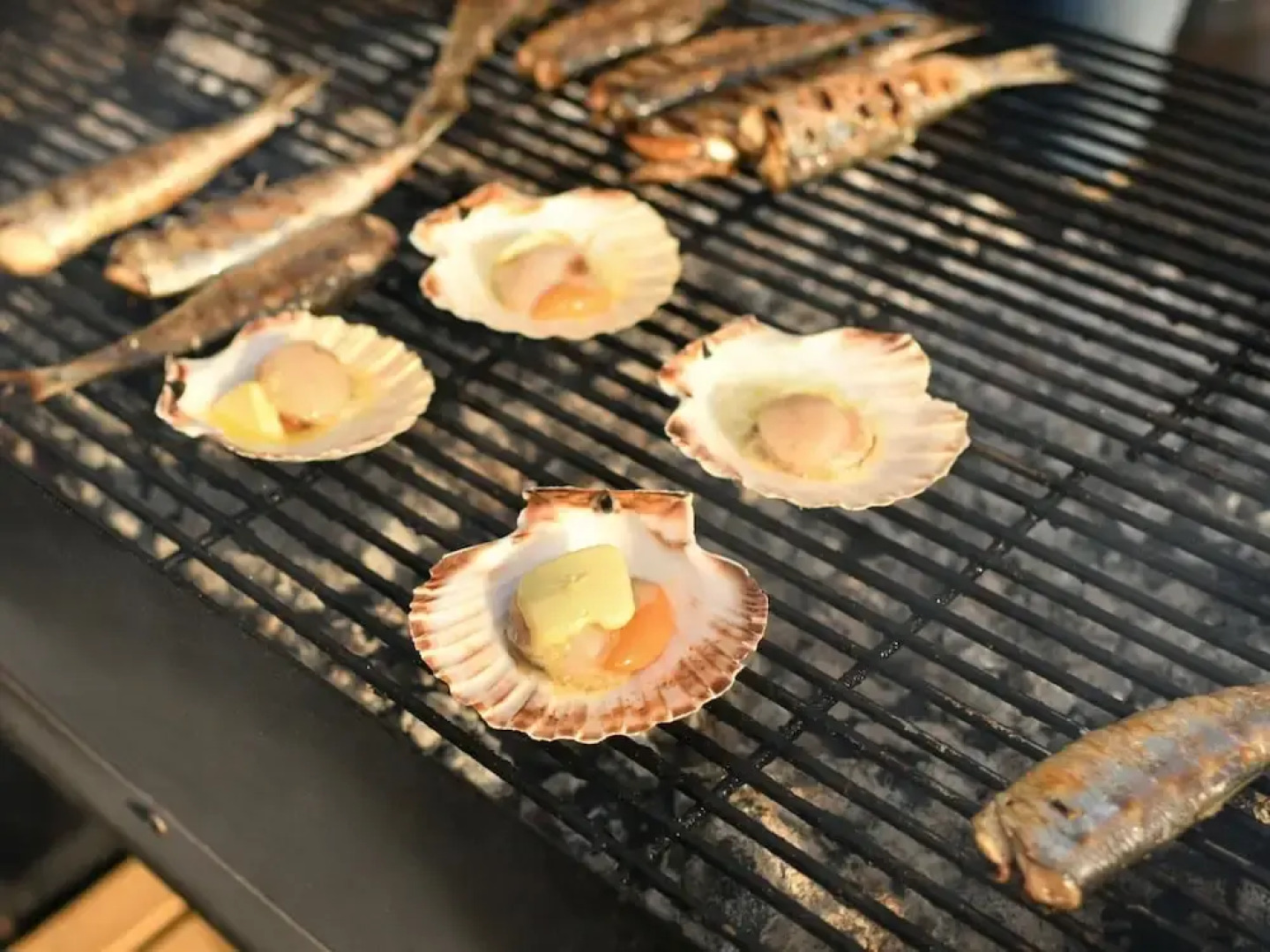 Pretty Flat With Roof Terrace and Large Garden