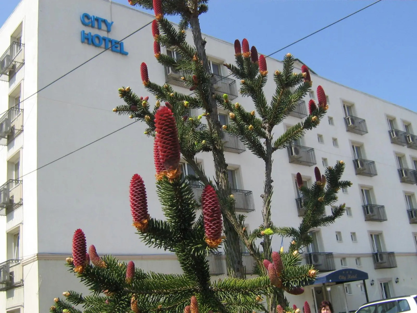 City Hotel Bucharest