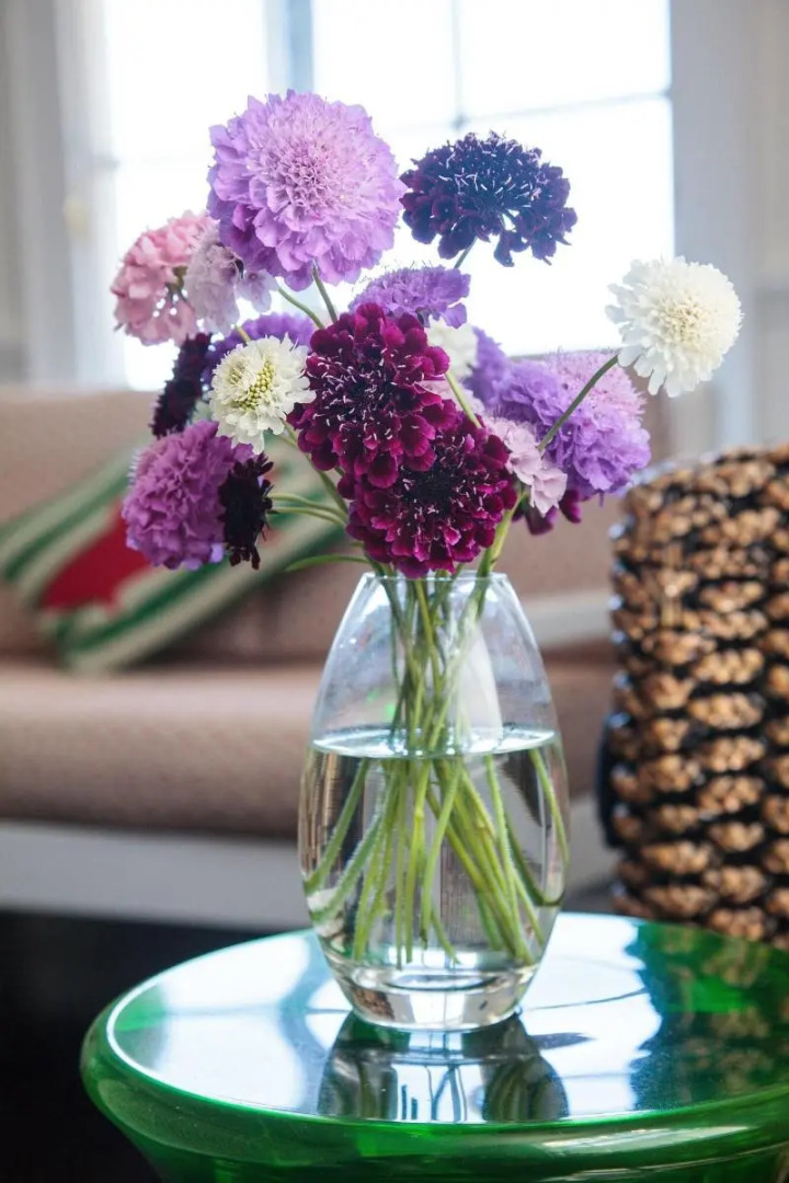 The Old Oak Boutique Hotel