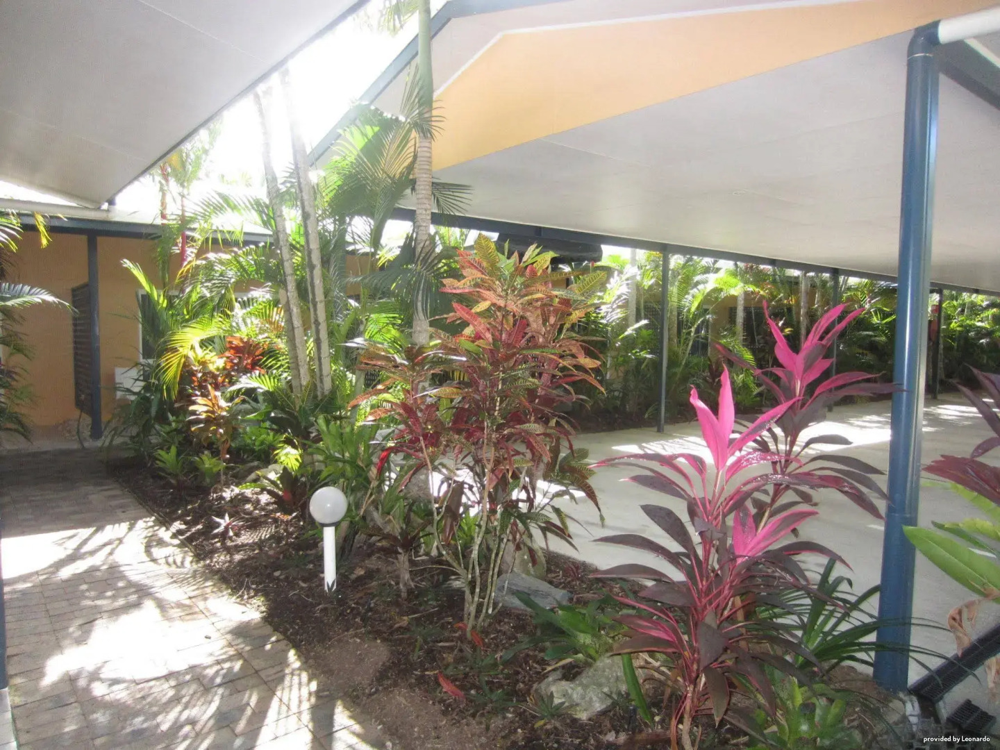 Lazy Lizard Motor Inn