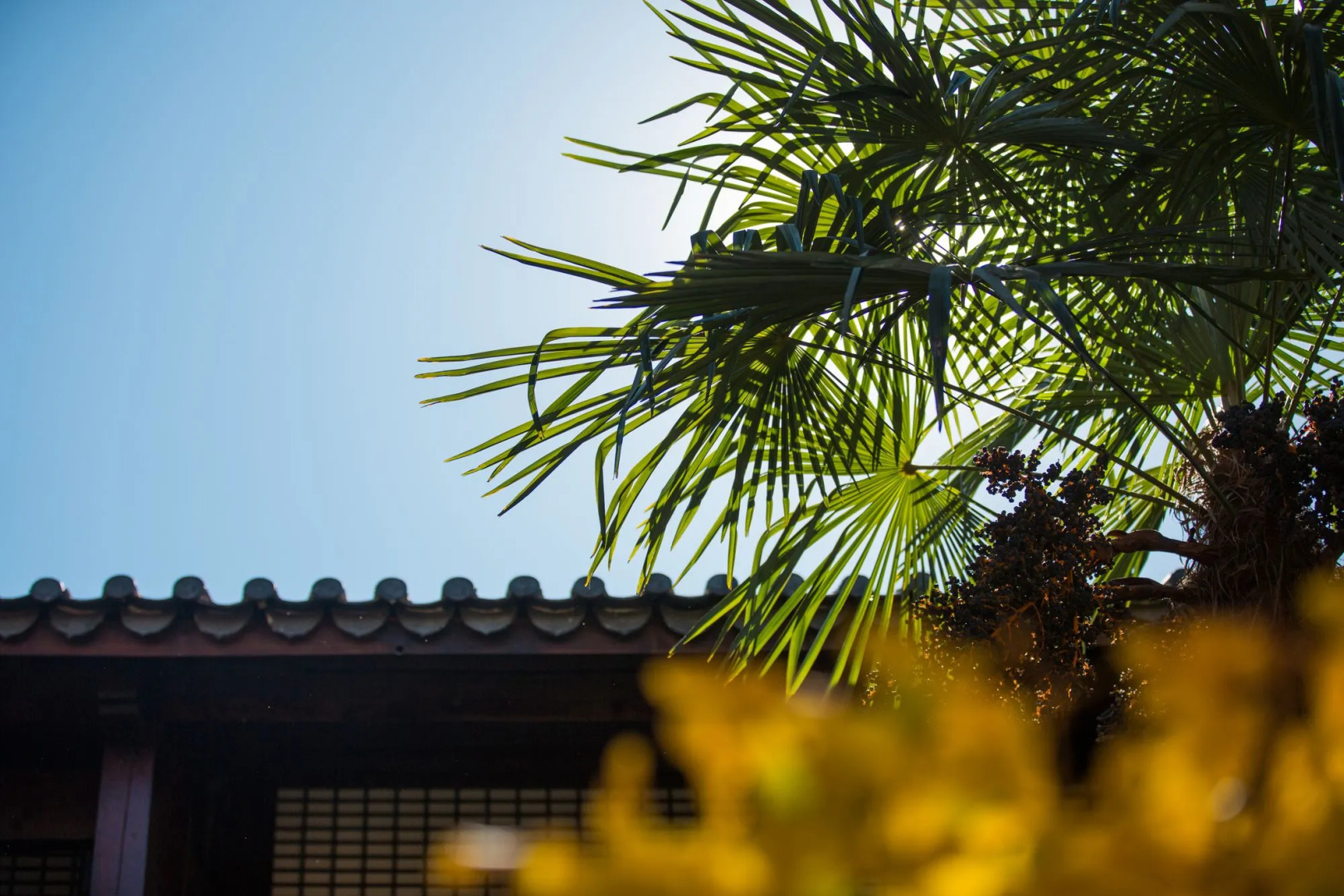 Lijiang Hotel JunPoXuan