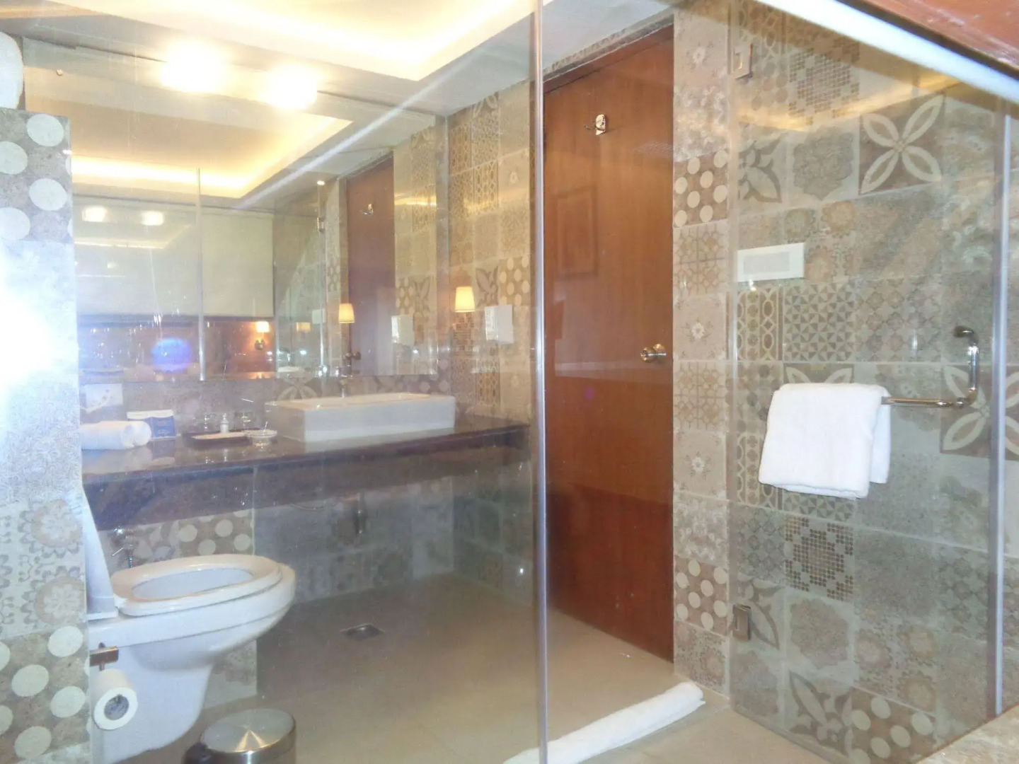 RS Sarovar Portico Palampur