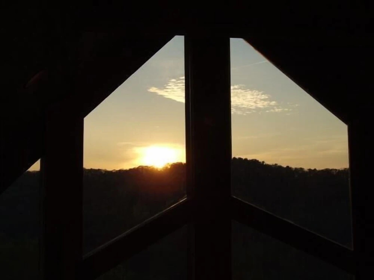 Wild Things Nevaeh Cabin Rentals