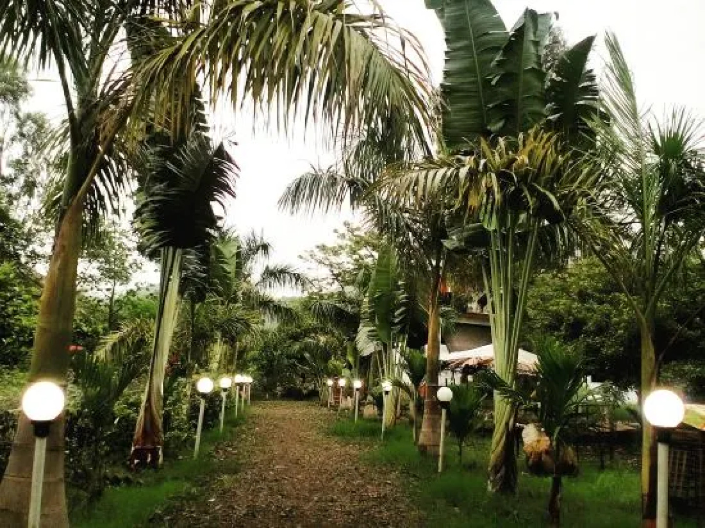 Ecowoods Agrotourism