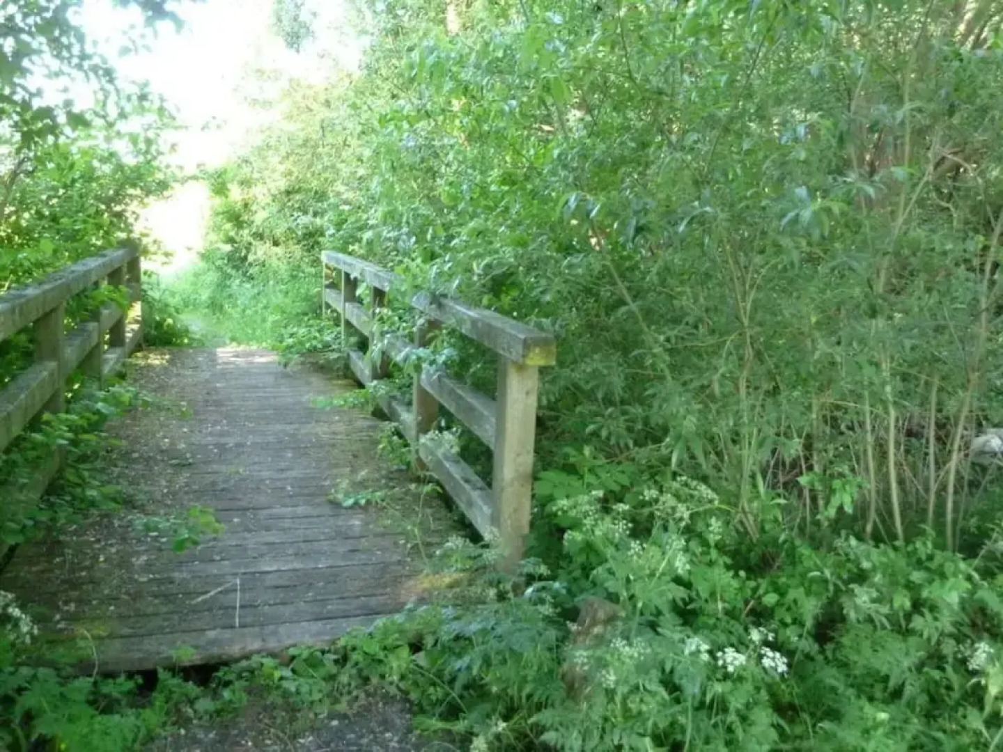 The Fischerhaus on Lake Malkwitzer See
