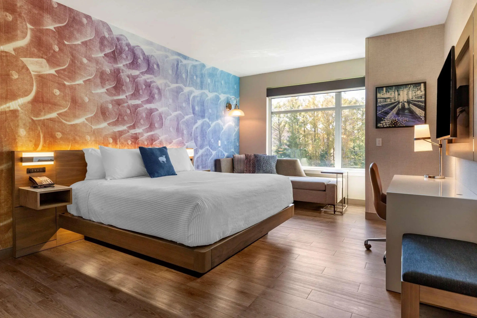 Cambria Hotel Manchester South Windsor