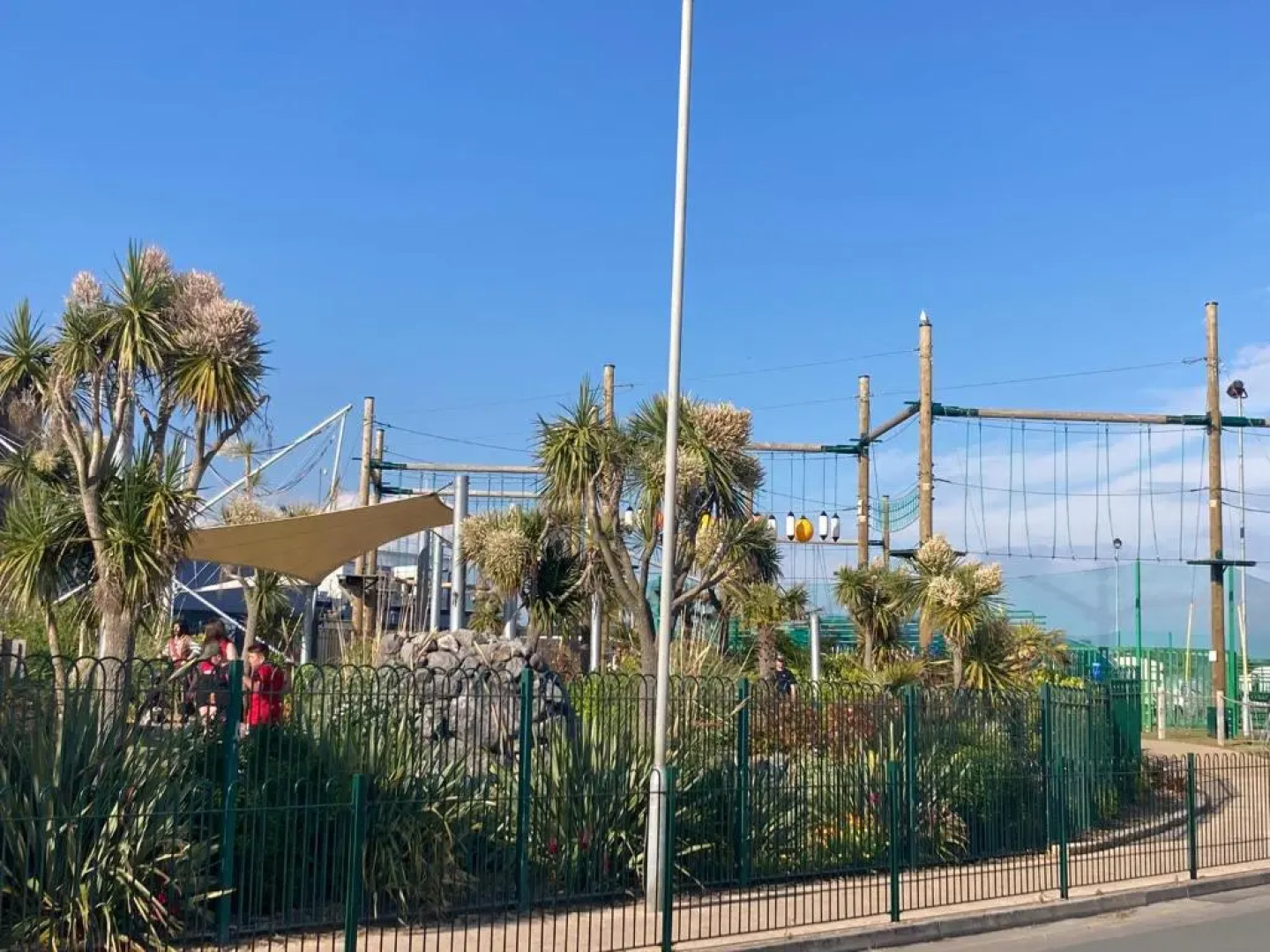 Trecco Bay Acorns 22