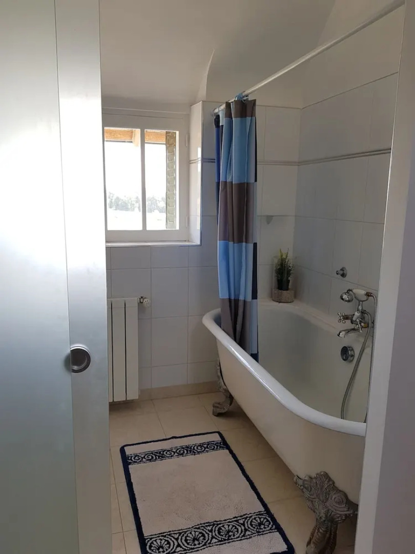 Les Camélias des Demoiselles de Pallus