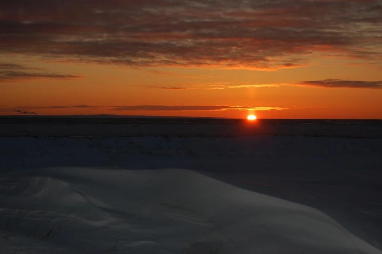 Les Chalets du Bioparc
