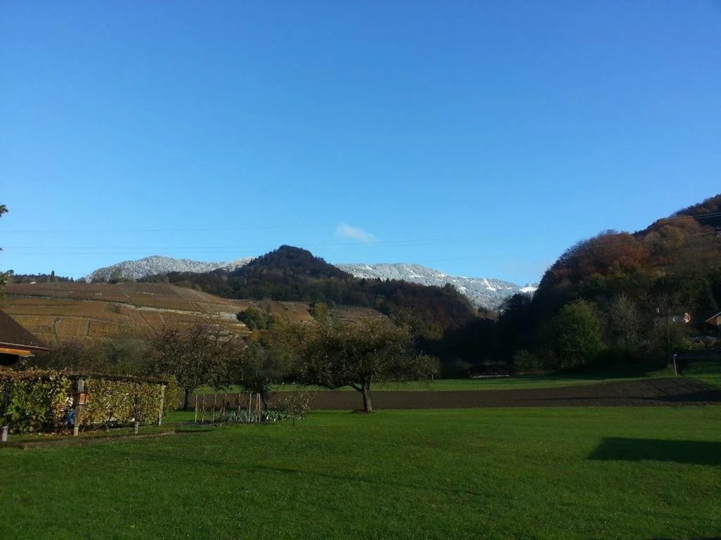 La Maison Du Directeur