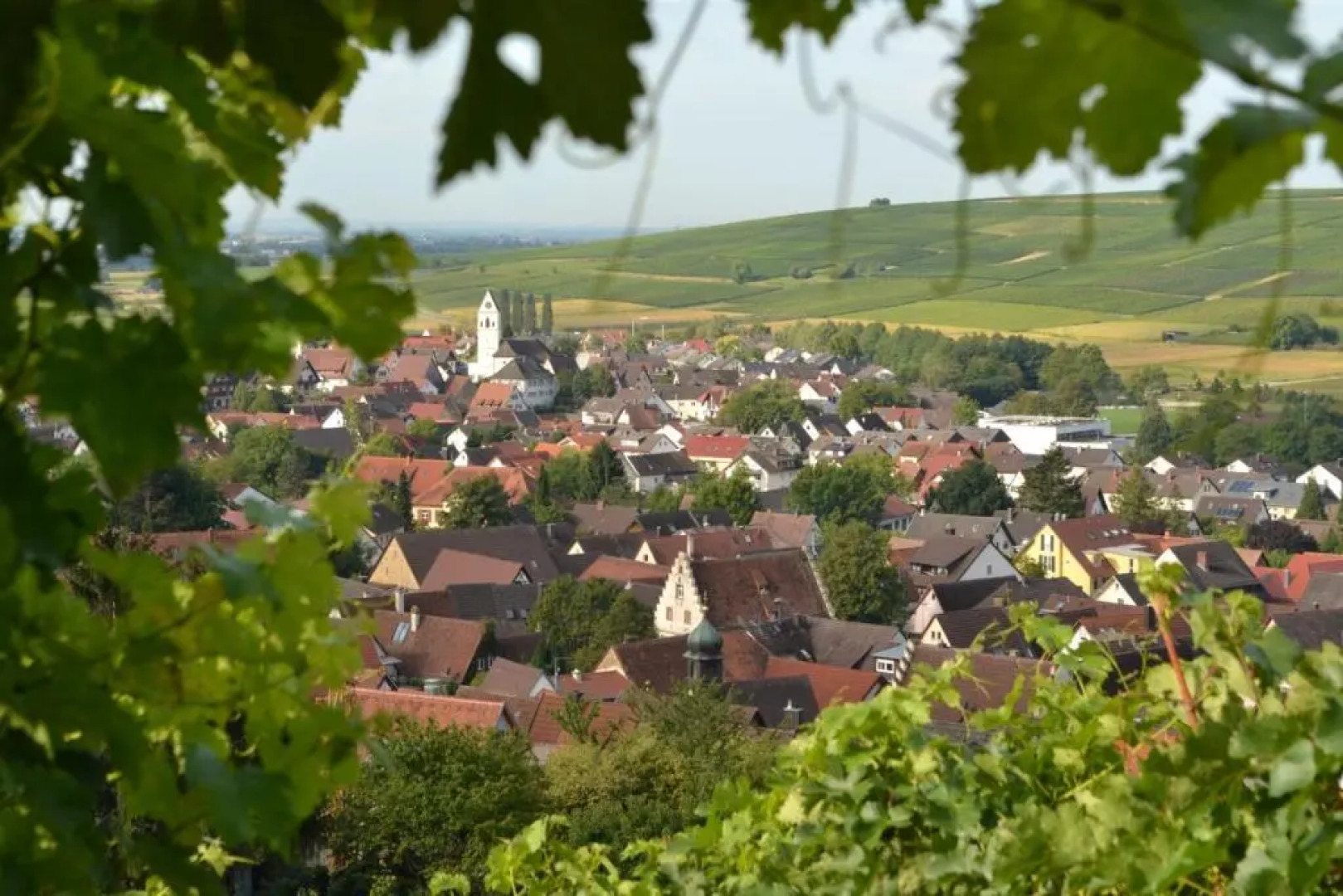 Ferienwohnung Schneckental