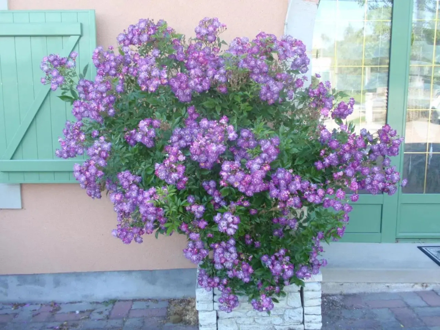 Hébergements Insolites en cabanes