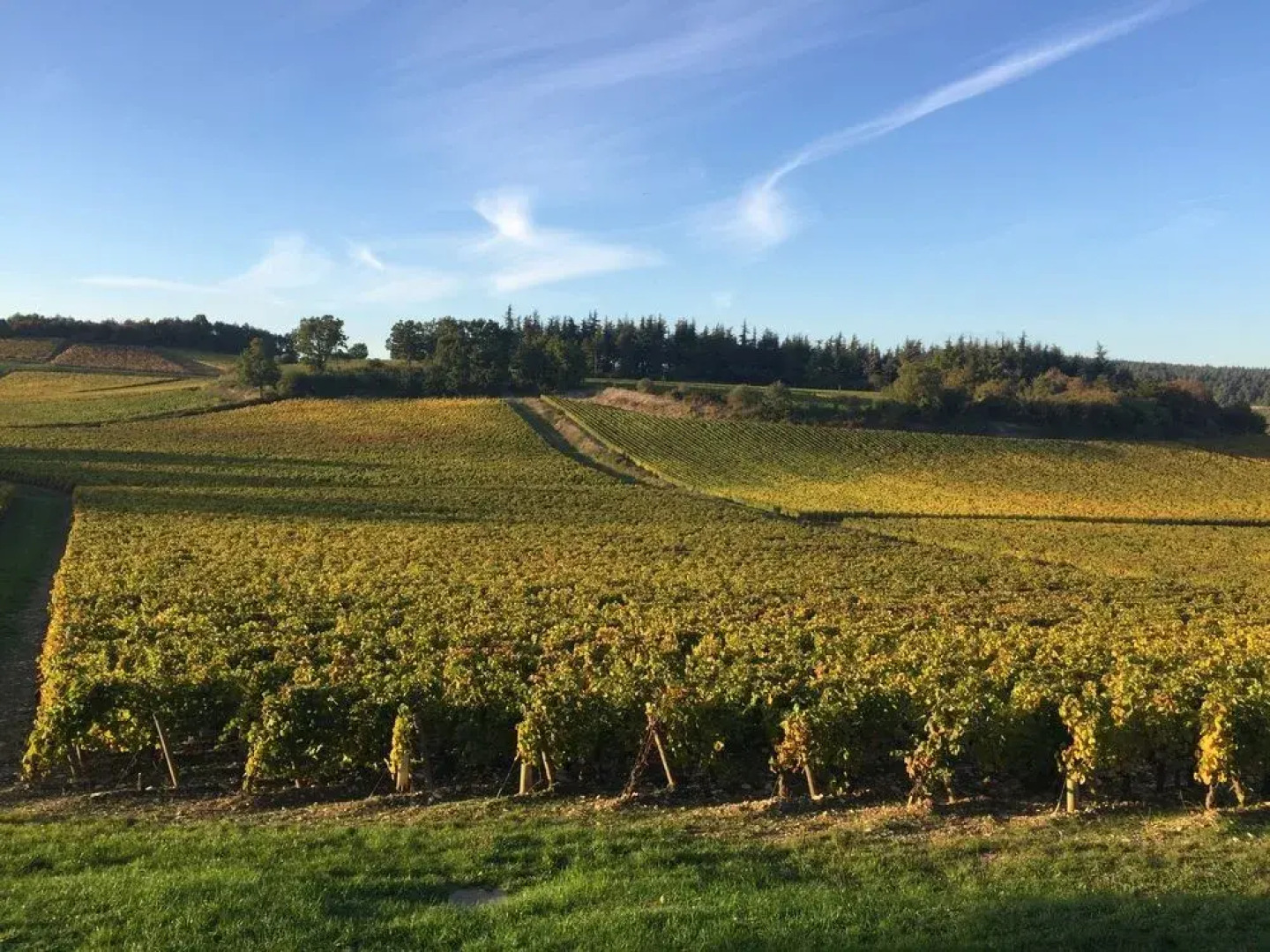 Les Maisons de Chamirey