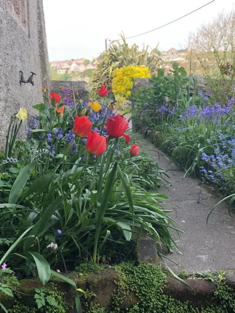 Manor Lodge Guesthouse