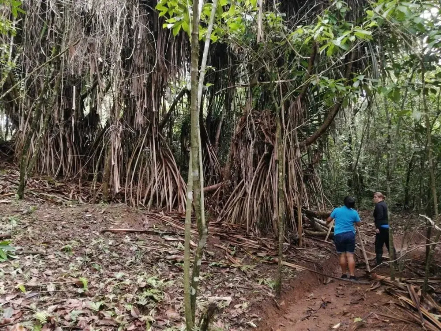 Asanai for Life mountain cabins