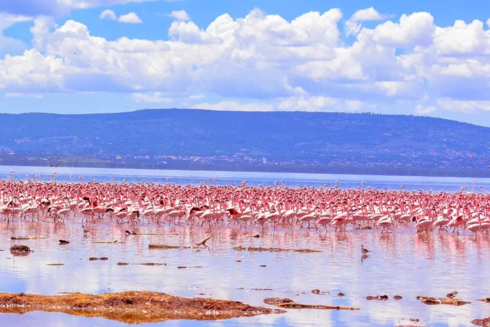 Lake Nakuru Lodge