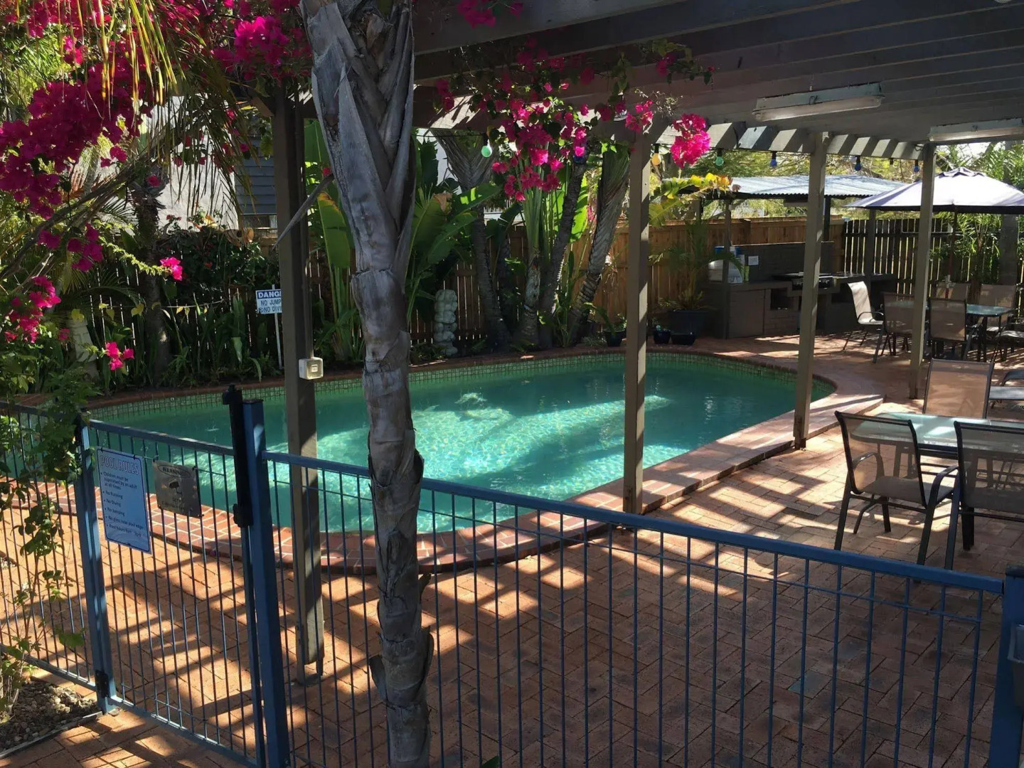 Coconut Palms on the Bay