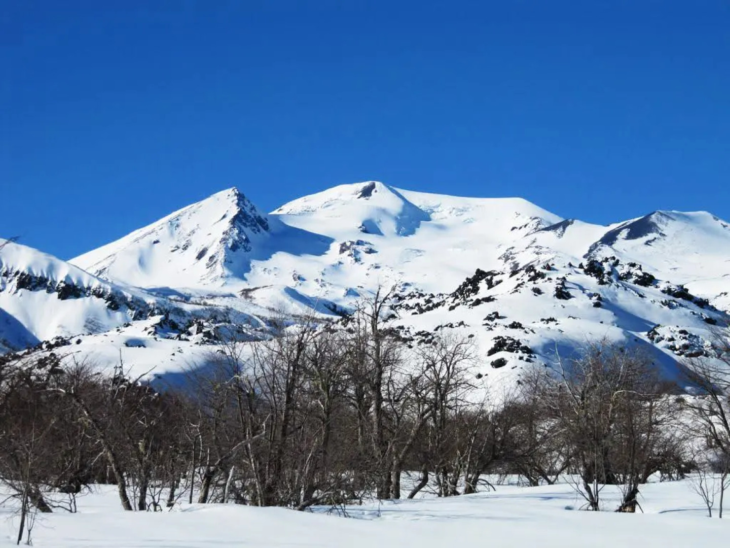 Lodge Las Trancas - Hostel