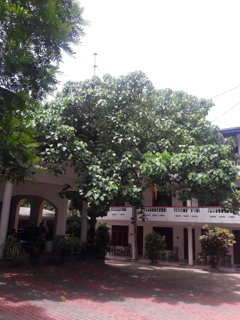 Hotel Happy Night Holiday Inn