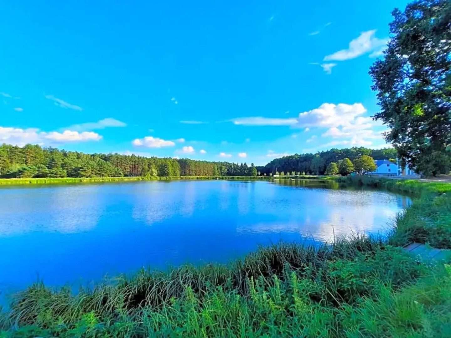 Hotel Odpocznia Resort I las