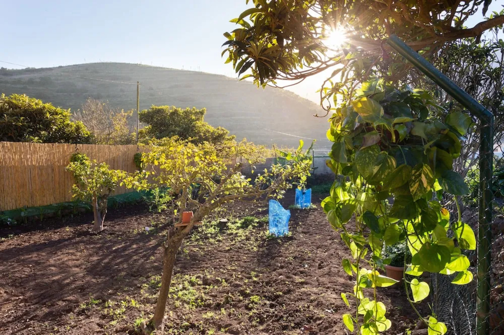 HomeLike Rustic House orchard and Wifi