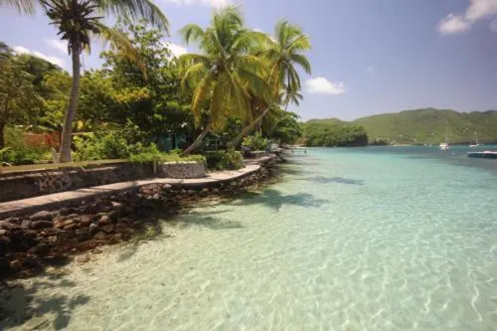 Tropical Hideaway