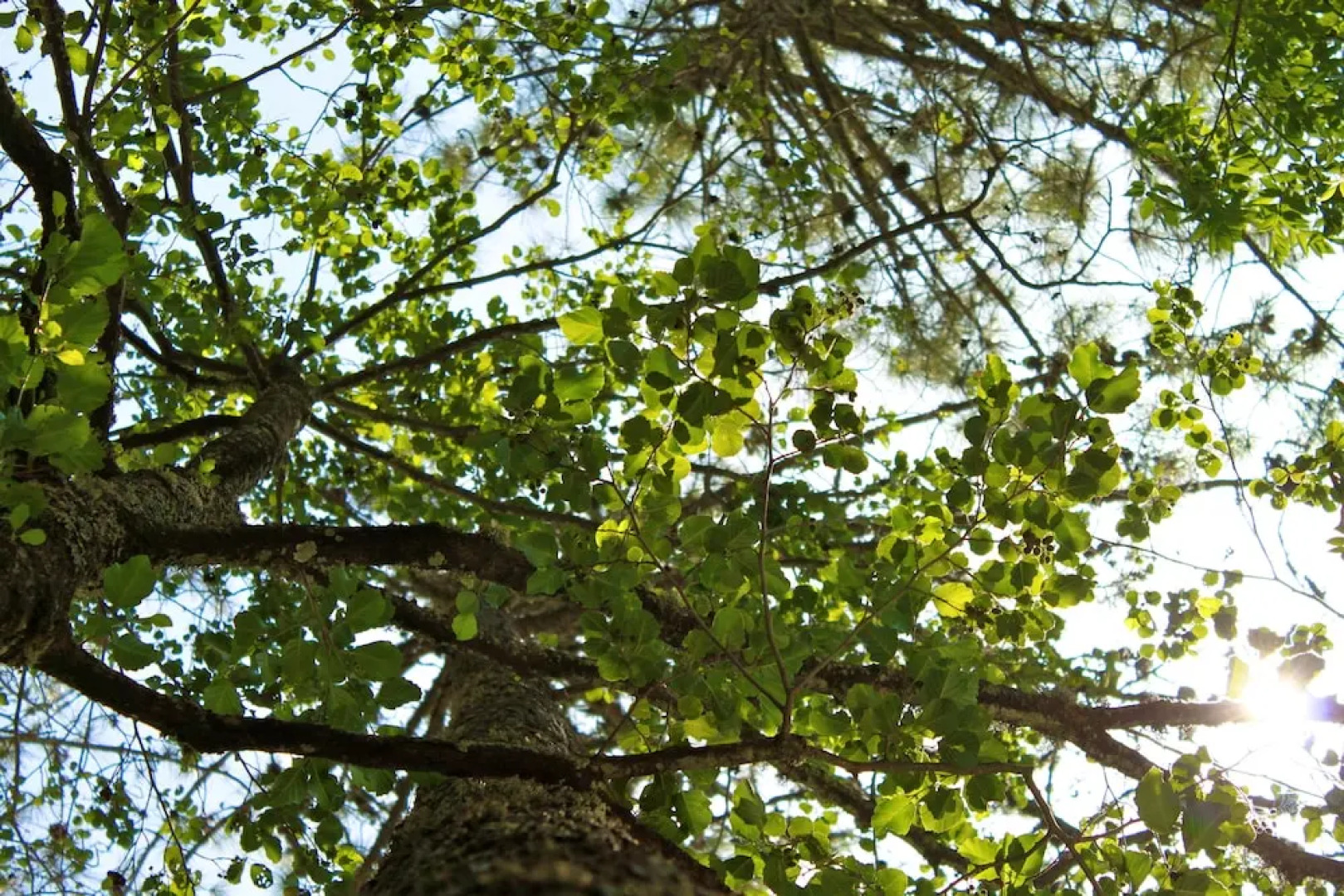 Elegant apartment with private garden