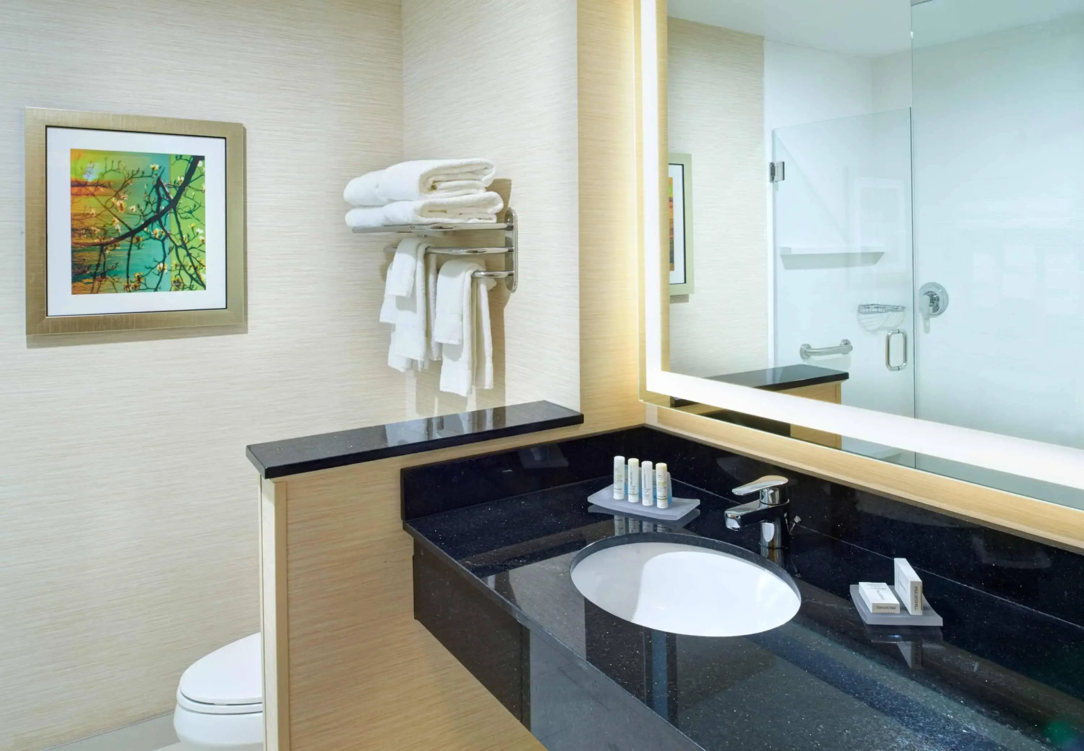 Fairfield Inn & Suites by Marriott Detroit Troy