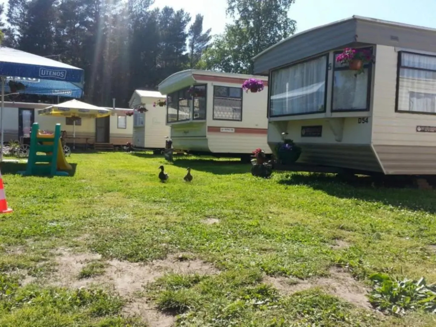 Nameliai Šventojoje Kopų